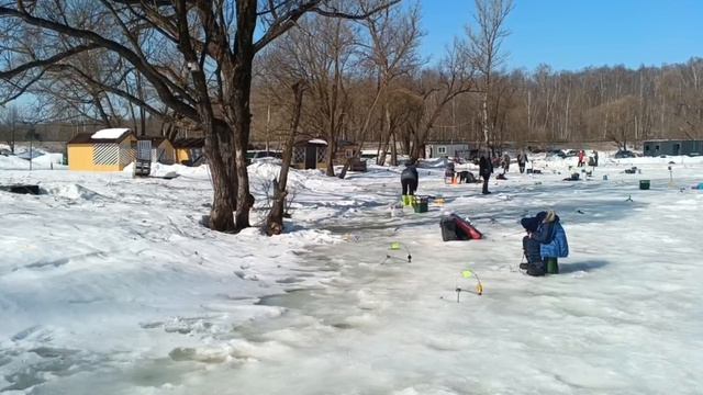 Обзор водоема