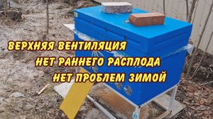 пчеловодство, верхняя вентиляция нет раннего расплода нет проблем зимой  да 2024