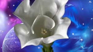 Мандала счастья и желаний онлайн бесплатно