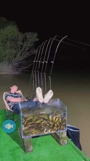 Видео от За Трофеем: Охота и Рыбалка