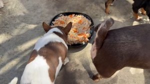 Солнышко греет, радует, можно и на улице перекусить.