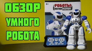 Умный робот жёсткая индукция