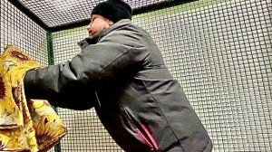 Наши новые жильцы КРИЧАЛИ как ЛЮДИ когда мы несли их к себе домой!