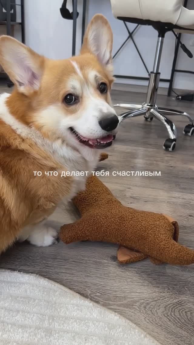 Мое счастье ❤️