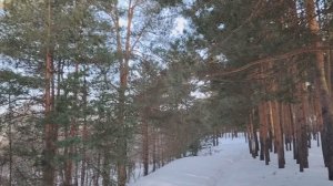 Личный пенсионный фонд. Или заживем на пенсии?!