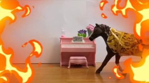 новости по поводу лета и новости про новый фильм!
( 30 подписчиков- клип война богов и демонов)