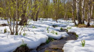 Пришла весна-ст.А.Карповецкого,муз и вокал нейросеть,мастеринг и монтаж В.Зубковой