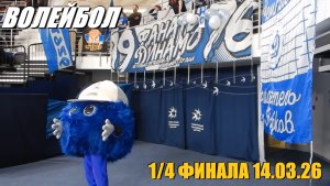 Волейбол ¼ финала сезона 25-26 Московское Динамо