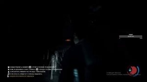 пошли в лес 2. The Forest.