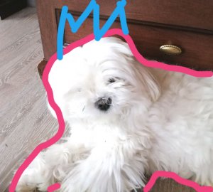 пов, когда друг сошёл с ума.