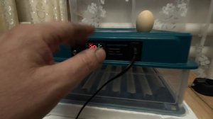 Инкубатор для яиц  G 42  Hairycotar