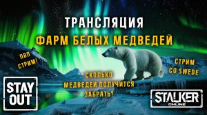 ПВП Стрим! Фарм белых медведей! Стрим с коллегой Swede! Сталкер онлайн/StayOut