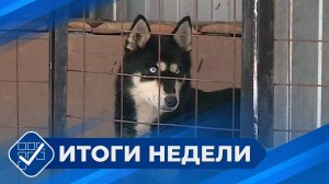 Итоги недели. 15 марта 2026 года