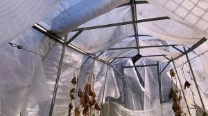 Теплицы проломились? Дача в Подмосковье 15 марта 2026 год.