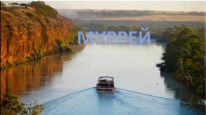 Муррей - крупнейшая река в Австралии