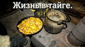 Рыбалка в глуши. Вот это яма! Хариус гуляет стаями прямо под ногами. Как делим рыбу после рыбалки.