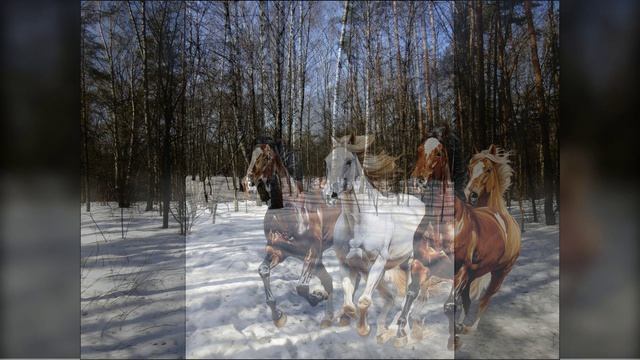 Март 2026 Тушино