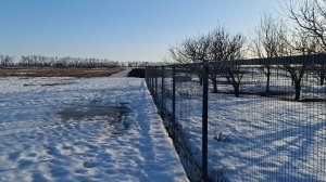 О жизни деревенской