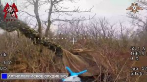 🔥Спарта громит М113 и арт. орудие ВСУ в Новоалександровке и Надежде