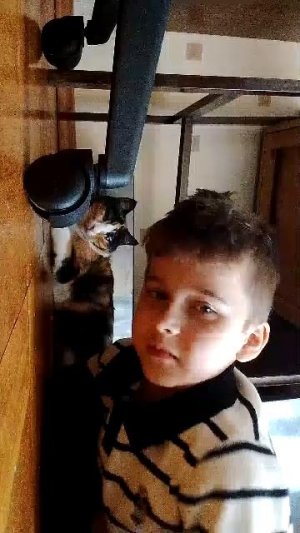 трансляция вызываю всех