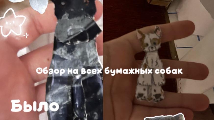 Обзор на всех моих бумажных собак