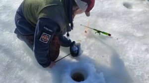 Спортзона.Поимки