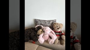 плюшевая  фантазия