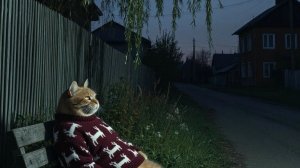 ПРОГУЛКА В ГОРОД 15-03-2026