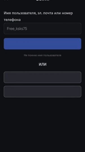 Как в роблокс зайти если его заблокировали