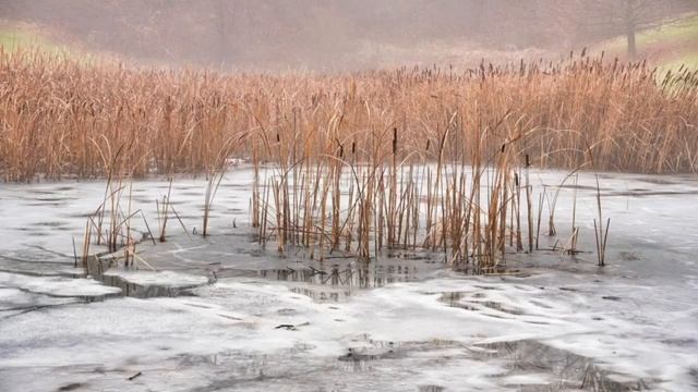 Обсуждение_темы_№_6__Христос_наша_победа,_наш_город_убежище_
