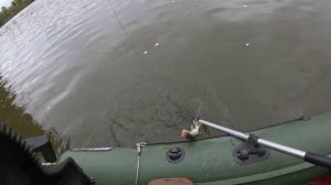 🎣И ТАКИЕ БЫВАЮТ🎣fishing#туризм#природа#ловля#рыбалка#щука#ловлящуки#ночевка#Чулым#река#спиннинг