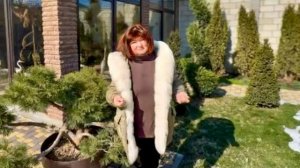 ВНИМАНИЕ, ВАЖНО! Мы открываем НОВЫЙ КАНАЛ и «Алексагины на льду» ждут вас!!!