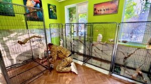 У нас НОВЫЕ ПИТОМЦЫ, Влад срочно переносит вольеры обезьян в более светлое место! Какаду В ШОКЕ!!!