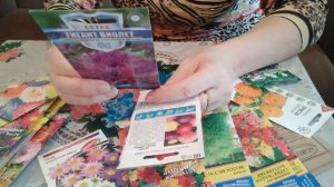 Цветы для дачи. Обзор однолетних семян цветов