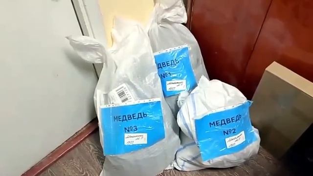 526 Видео от Сергея Богатырёва