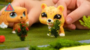 Настя объясняет правила безопасности в городе