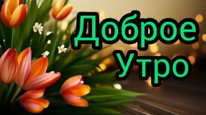 Доброе утро Желаю хорошего дня и отличного настроения Расцветай