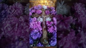 Воскресенье. Апостольское чтение.