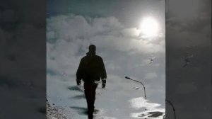 Выбор-Метаморфоза,сл.@Ю.Колчак, ИИ