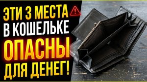 Как навести порядок в кошельке? 3 места, куда нельзя класть крупные купюры, чтоб сохранить деньги