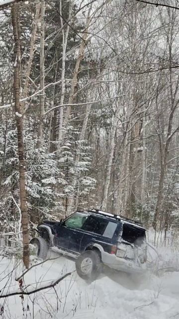 эскудо на редукторах