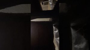 бацкитбольная форма обзор