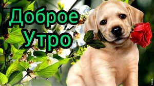 Доброе утро! Самое цветочное утро от ИИ