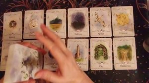 Срочная новость для вас, крысы разбегаются в панике