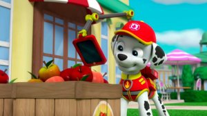 Щенячий патруль. СБОРНИК 4. Детям. Для детей. Суперщенки. Супер щенки. Игровой мультфильм.