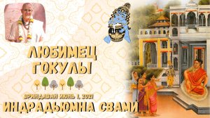 Любимец Гокулы