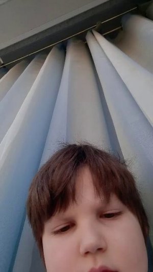 играю в супер беар адвенчер 1.2.1