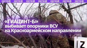 Расчеты гаубиц «Гиацинт-Б» уничтожили опорник ВСУ