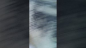 прыгаем опасно челлендж