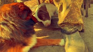 Утро доброе всем